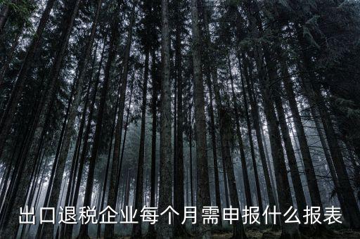 出口退稅每月需做什么申報，外貿(mào)企業(yè)第一次申報出口退稅需要準備哪些資料
