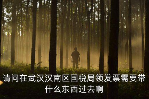 請(qǐng)問在武漢漢南區(qū)國稅局領(lǐng)發(fā)票需要帶什么東西過去啊