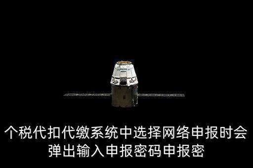 個稅申報密碼是什么意思，網(wǎng)上報稅 報稅密碼是什么