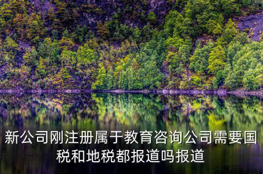 教育咨詢納什么稅，請(qǐng)問(wèn)從教育事業(yè)的公司要納稅嗎