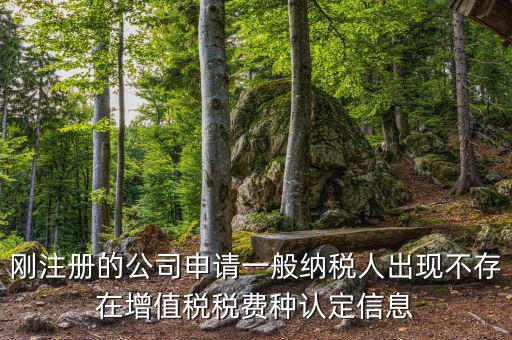 剛注冊的公司申請一般納稅人出現(xiàn)不存在增值稅稅費種認定信息