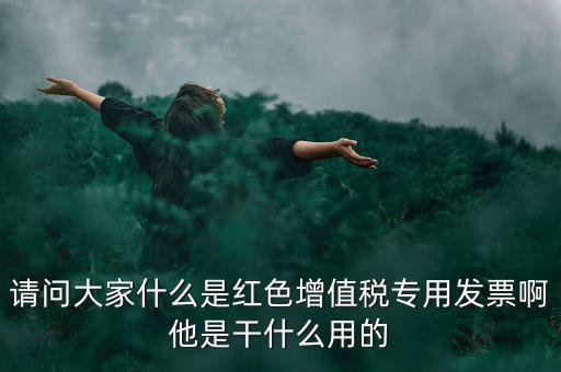 請(qǐng)問(wèn)大家什么是紅色增值稅專用發(fā)票啊他是干什么用的