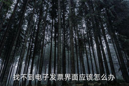 找不到電子發(fā)票界面應該怎么辦