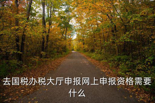 國(guó)稅網(wǎng)上申報(bào)用什么資料，去國(guó)稅辦稅大廳申報(bào)網(wǎng)上申報(bào)資格需要什么