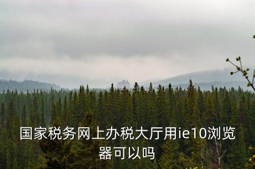 國稅網(wǎng)上申報用什么瀏覽器，山東國稅網(wǎng)上申報系統(tǒng)需要什么瀏覽器
