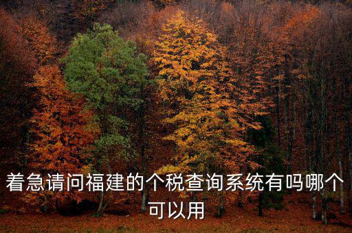 著急請(qǐng)問(wèn)福建的個(gè)稅查詢系統(tǒng)有嗎哪個(gè)可以用