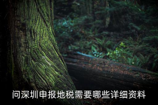 深圳市的地稅申報是什么，深圳市地稅怎么申報