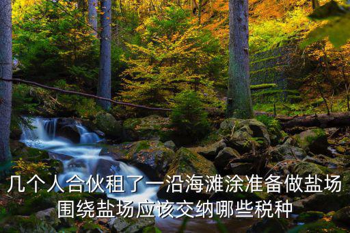 幾個(gè)人合伙租了一沿海灘涂準(zhǔn)備做鹽場圍繞鹽場應(yīng)該交納哪些稅種