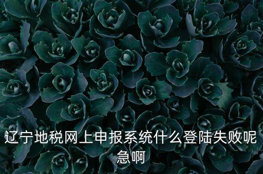 遼寧網(wǎng)上報稅為什么進不去，遼寧地稅網(wǎng)上申報系統(tǒng)什么登陸失敗呢急啊