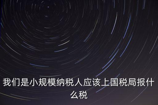 小規(guī)模要報什么稅，我想問問小規(guī)模納稅人報稅需要報些什么