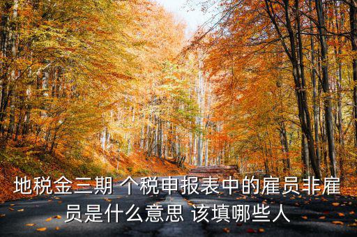金稅四期是什么意思，地稅金三期 個(gè)稅申報(bào)表中的雇員非雇員是什么意思 該填哪些人