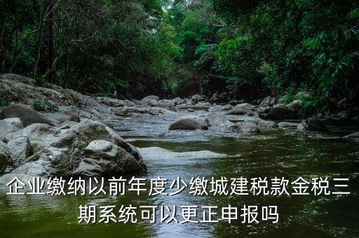 金稅三期更正申報需要什么資料，企業(yè)繳納以前年度少繳城建稅款金稅三期系統(tǒng)可以更正申報嗎