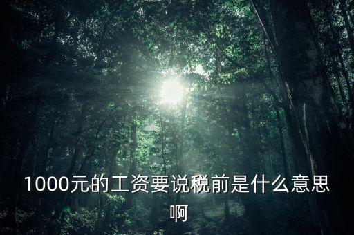 1000元的工資要說稅前是什么意思 啊