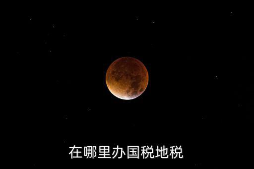 什么在地稅辦，在哪里辦國稅地稅