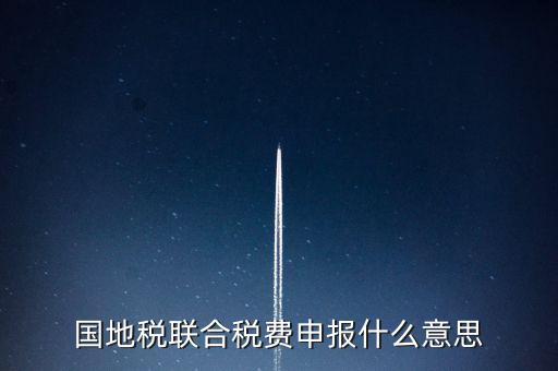 國地稅聯(lián)合稅費(fèi)申報什么意思