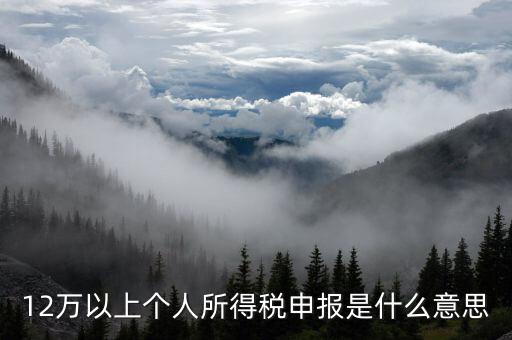 12萬(wàn)以上個(gè)人所得稅申報(bào)是什么意思