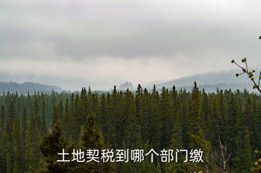 土地契稅到哪個(gè)部門(mén)繳