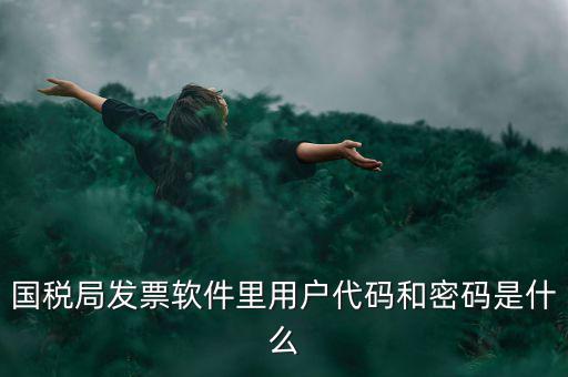 國(guó)稅局發(fā)票軟件里用戶代碼和密碼是什么