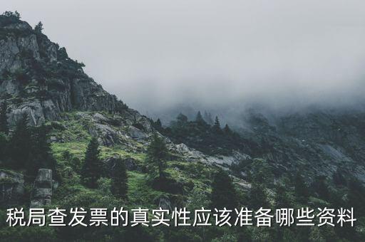 稅務局主要查發(fā)票什么資料，稅局查發(fā)票的真實性應該準備哪些資料