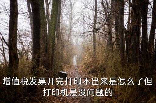 為什么打印發(fā)票打不出來，增值稅發(fā)票開完打印不出來是怎么了但打印機(jī)是沒問題的