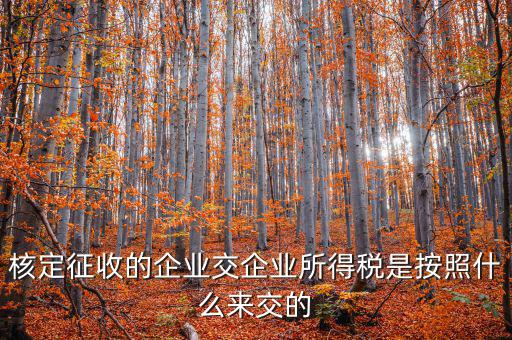 核定稅稅率是按照什么作參照的，稅率按照哪個來定
