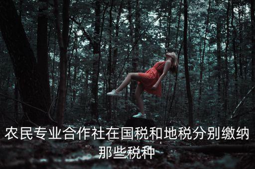 農(nóng)民專業(yè)合作社在國稅和地稅分別繳納那些稅種