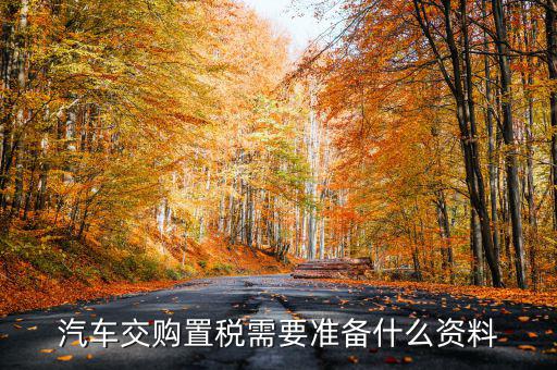 汽車(chē)交購(gòu)置稅需要準(zhǔn)備什么資料
