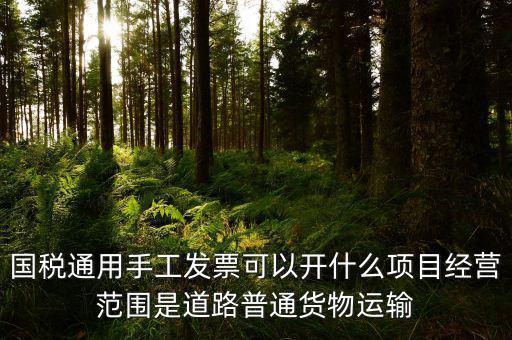 國(guó)稅通用手工發(fā)票可以開什么項(xiàng)目經(jīng)營(yíng)范圍是道路普通貨物運(yùn)輸