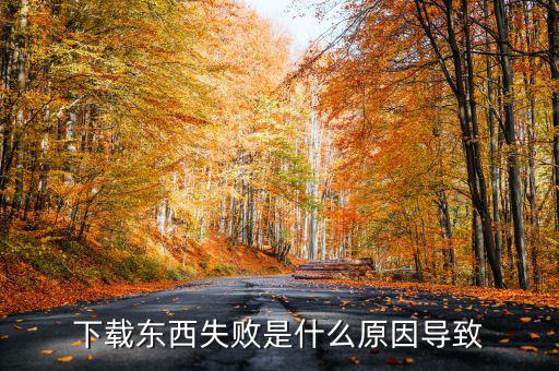 下載東西失敗是什么原因導致
