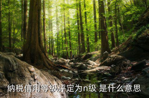 國稅信用級別是什么，納稅信用等級評定為n級 是什么意思