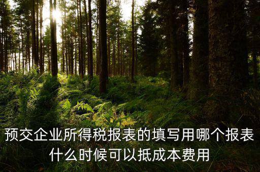 預(yù)交企業(yè)所得稅報表的填寫用哪個報表什么時候可以抵成本費用