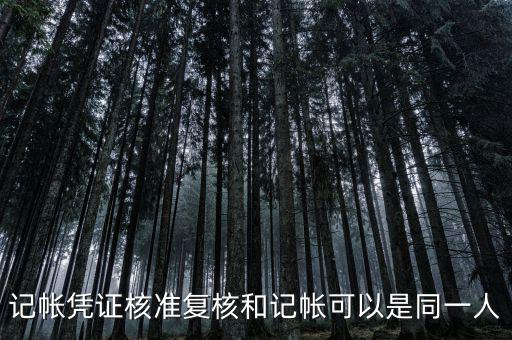 記帳憑證核準(zhǔn)復(fù)核和記帳可以是同一人