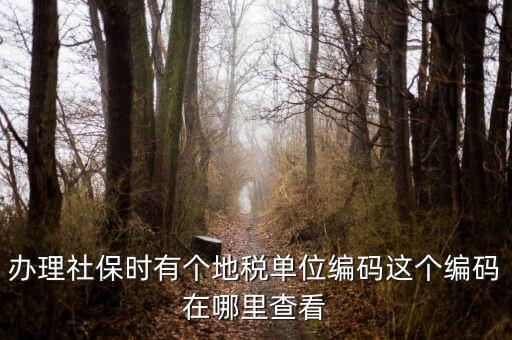 稅務(wù)局編號(hào)在什么位置，安康稅務(wù)機(jī)關(guān)地區(qū)編號(hào)在哪里