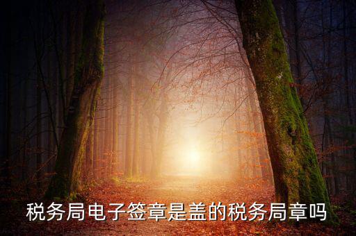 稅務(wù)局電子簽章是什么，在國稅系統(tǒng)電子簽章時(shí)為什么不是每次都提示輸入口令