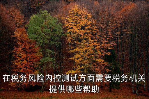 在稅務風險內(nèi)控測試方面需要稅務機關(guān)提供哪些幫助