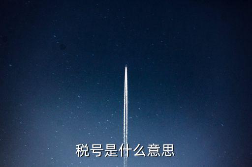 稅號(hào)是什么意思
