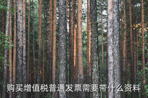 購(gòu)買增值稅普通發(fā)票需要帶什么資料