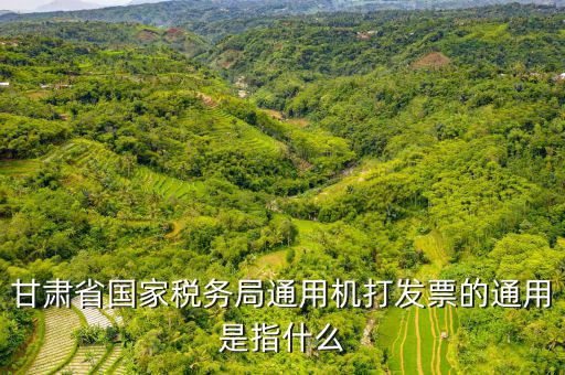 山西省稅務(wù)局六最是指什么，甘肅省國家稅務(wù)局通用機打發(fā)票的通用是指什么