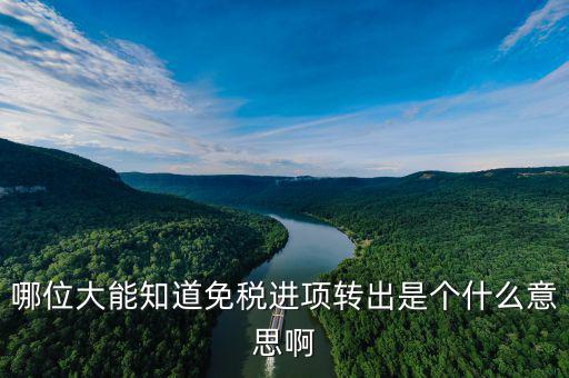 進(jìn)項(xiàng)轉(zhuǎn)出是什么意思，哪位大能知道免稅進(jìn)項(xiàng)轉(zhuǎn)出是個什么意思啊