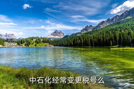 中石化經(jīng)常變更稅號么