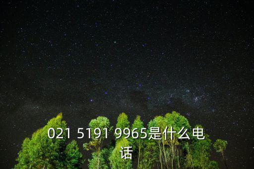 021 5191 9965是什么電話