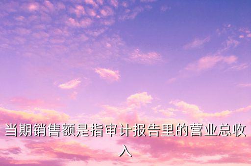 當(dāng)期銷售額是指審計(jì)報(bào)告里的營(yíng)業(yè)總收入