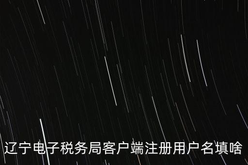 遼寧電子稅務局客戶端注冊用戶名填啥