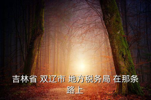 吉林市地稅局在什么位置，吉林市地方稅務(wù)局第二直屬稅務(wù)局在哪個區(qū)