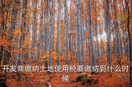 開(kāi)發(fā)商繳納土地使用稅要繳納到什么時(shí)候