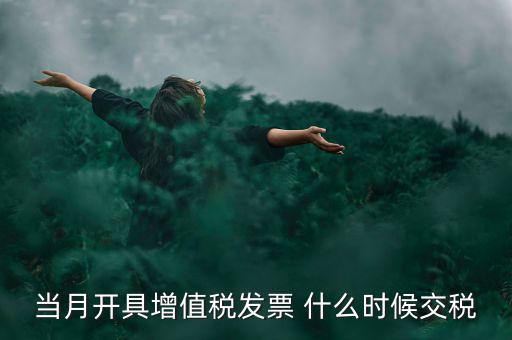 當(dāng)月開(kāi)具增值稅發(fā)票 什么時(shí)候交稅