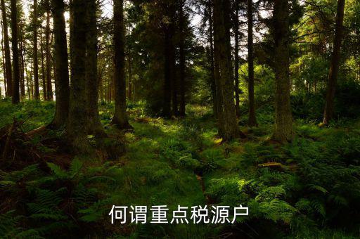 為什么要填重點稅源啊，重點稅源的介紹