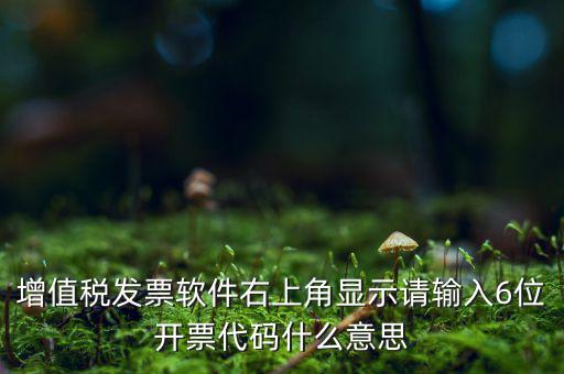 發(fā)票查詢校驗碼后六位是什么，發(fā)票驗證碼是什麼