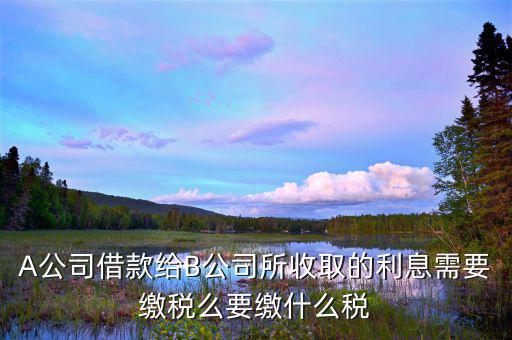 借款利息交什么稅，A公司借款給B公司所收取的利息需要繳稅么要繳什么稅