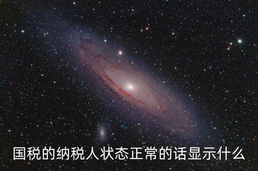 國(guó)稅的納稅人狀態(tài)正常的話顯示什么